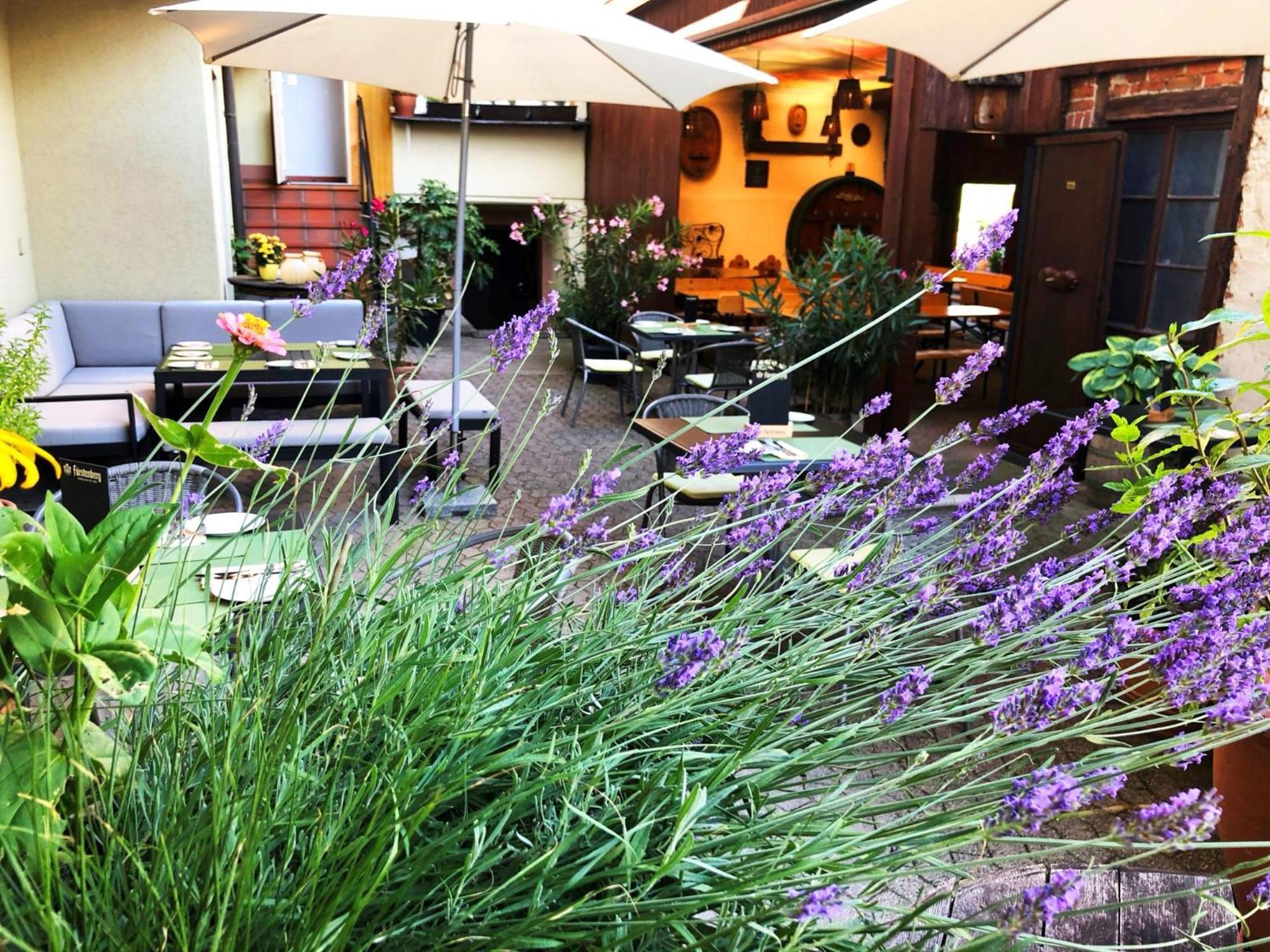 Appartements 'In Vino Veritas' Haslach im Kinzigtal Luaran gambar