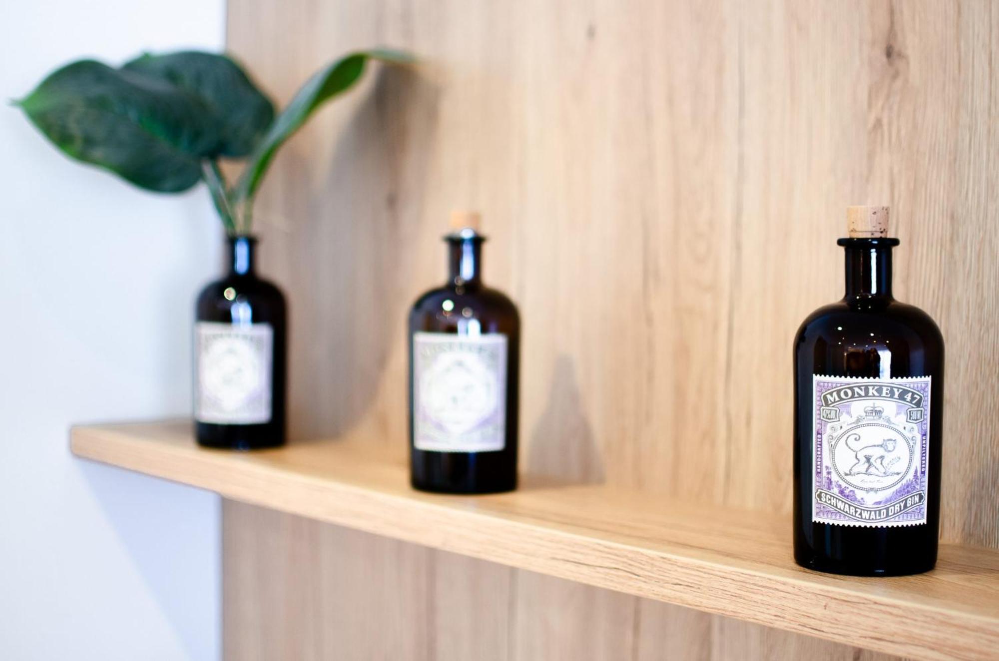 Appartements 'In Vino Veritas' Haslach im Kinzigtal Luaran gambar