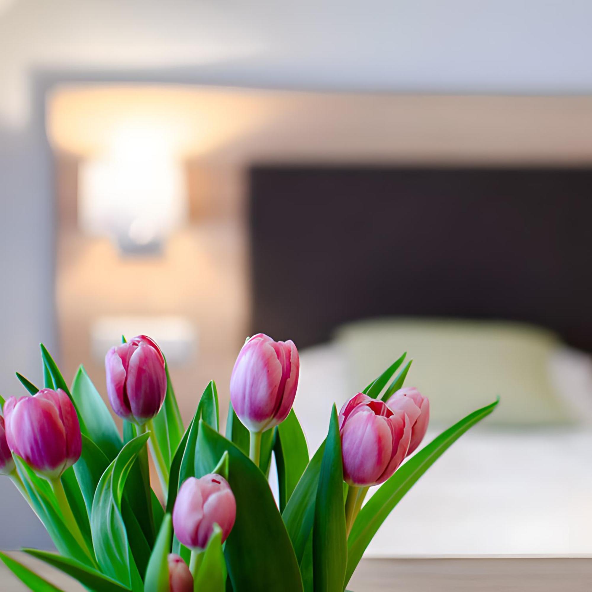 Appartements 'In Vino Veritas' Haslach im Kinzigtal Luaran gambar